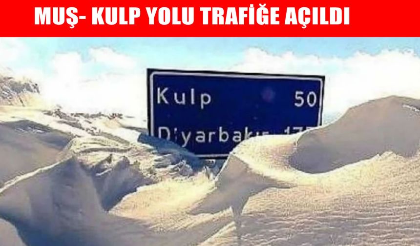 Muş-Kulp yolu yeniden trafiğe açıldı