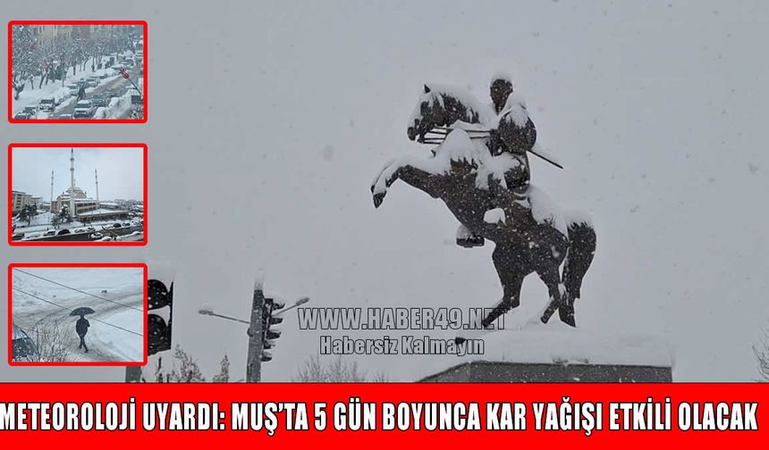 Meteoroloji uyardı: Muş'a kar geri geliyor!