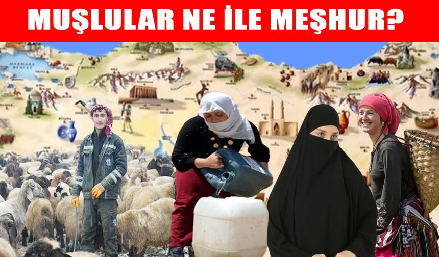 81 ilin karakter haritası yeniden gündemde: Muş’un ‘Geniş Gönüllü’ insanları dikkat çekti!