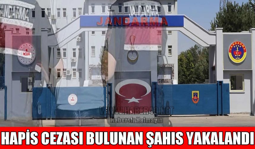 Muş'ta 4 yıl 7 ay hapis cezası bulunan firari yakalandı