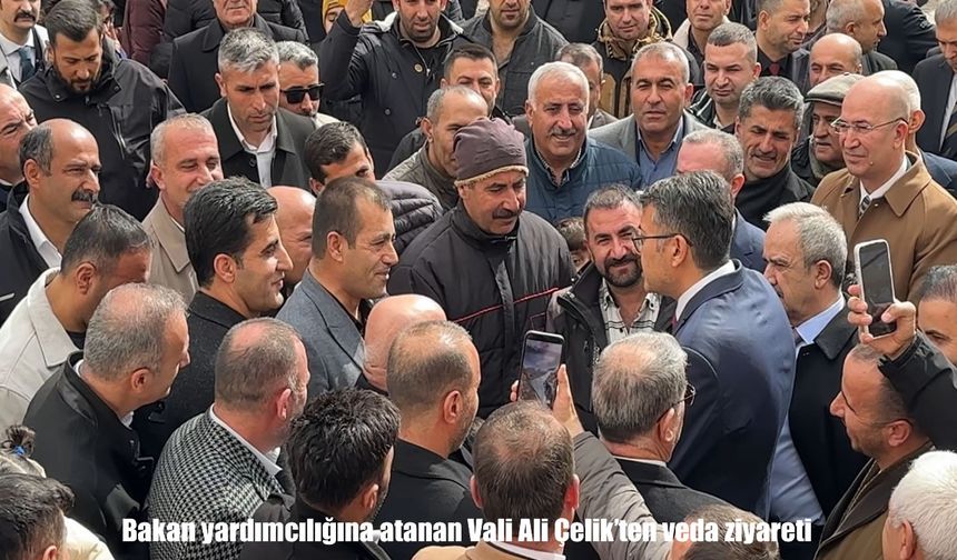 Bakan yardımcılığına atanan Vali Ali Çelik’ten veda ziyareti