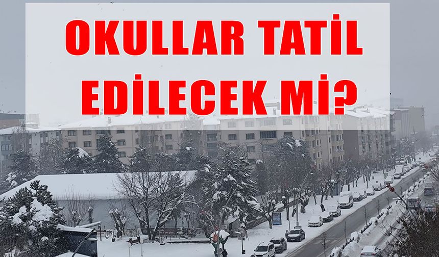 Muş’ta gözler valiliğin "kar tatili" kararında