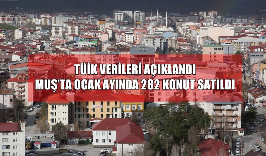 TÜİK verileri açıklandı: Muş’ta Ocak ayında kaç konut satıldı?