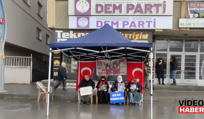 Muş’ta ailelerin çığlığı: "100 yıl geçse de peşini bırakmam!"