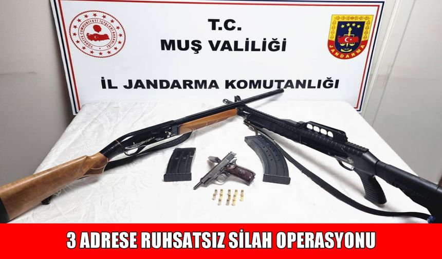 Varto’da silah kaçakçılığı operasyonu: 3 gözaltı