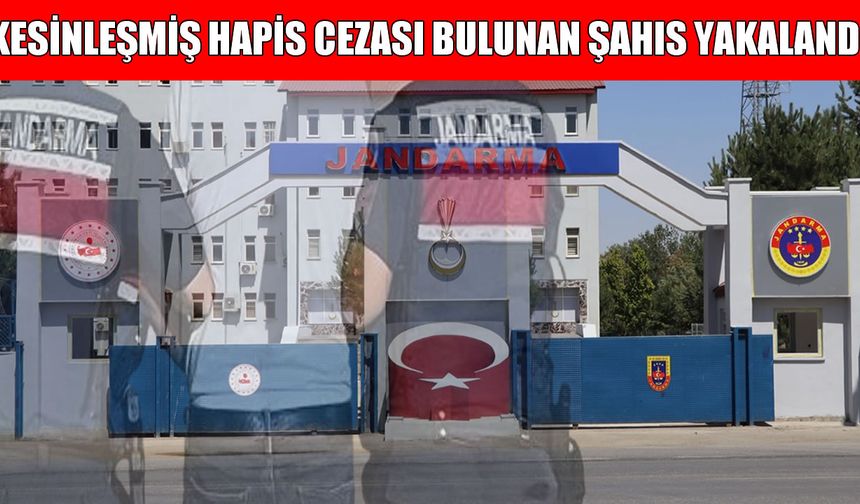 Muş'ta firari şahıs jandarma operasyonuyla yakalandı