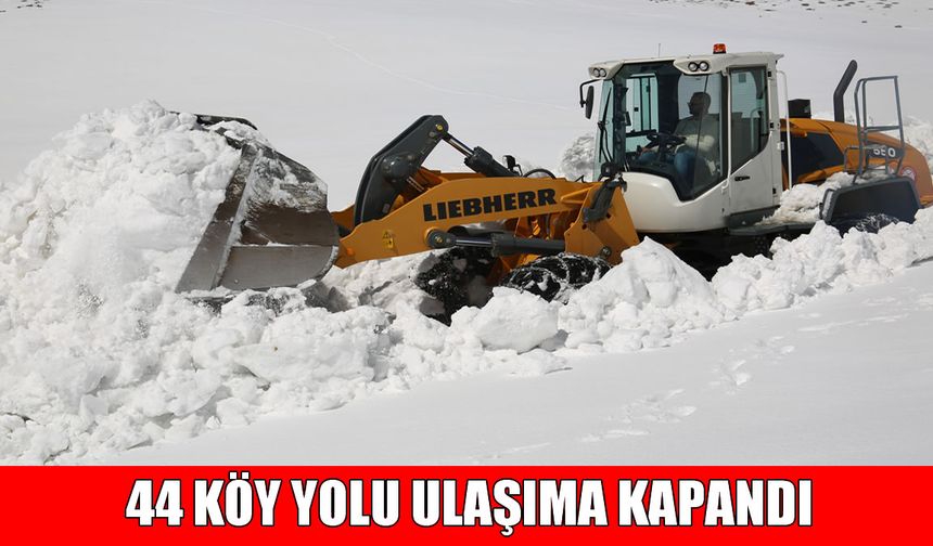 Muş’ta 44 köy yolu ulaşıma kapandı