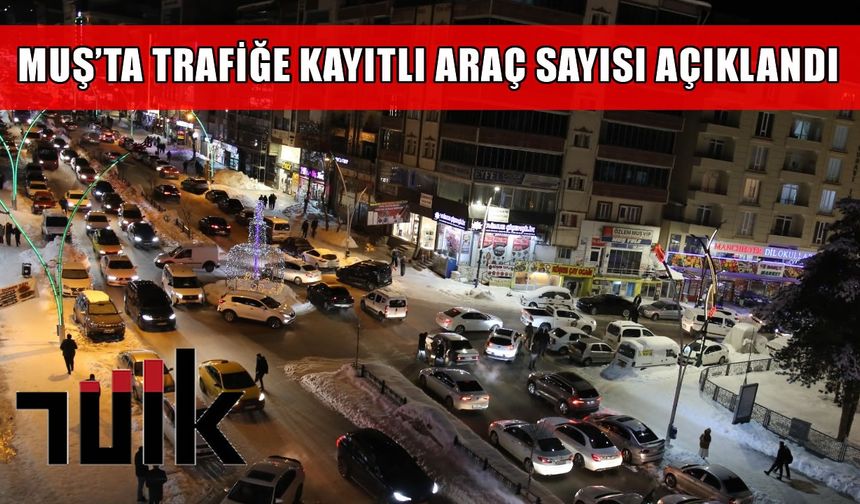 Muş'ta trafiğe kayıtlı araç sayısı 42 bini geçti