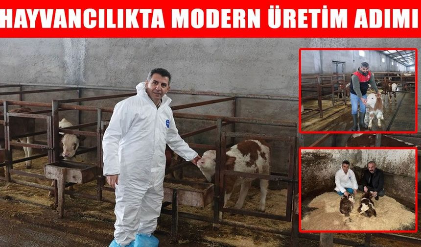 Muş’ta hayvancılığa verim odaklı destek: Suni tohumlama çalışmaları sürüyor