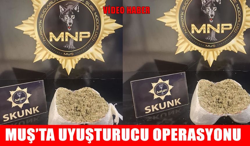 Muş'ta yolcu otobüsüne narkotik operasyonu: 2 kilo skunk ele geçirildi