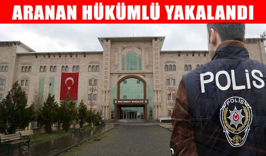 Muş’ta 'silahla tehdit' suçundan hapis cezasıyla aranan şahıs yakalandı