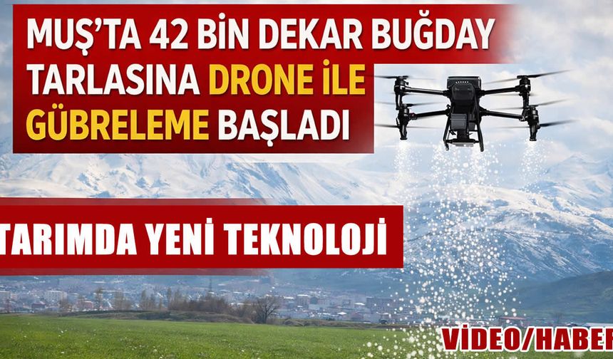 Muş’ta 42 bin dekarlık buğday tarlası drone ile gübreleniyor