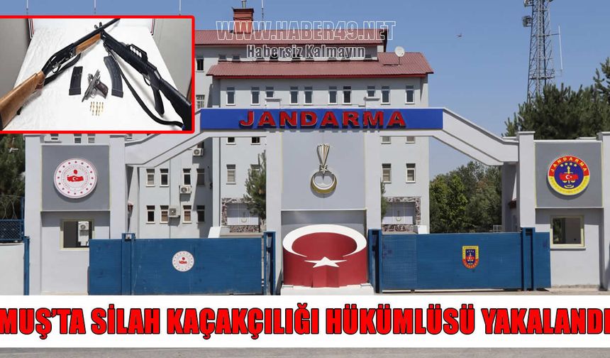 Muş'ta silah kaçakçılığından aranan şahıs yakalandı