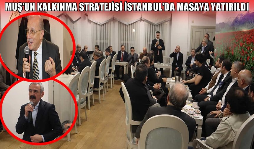 Muş’un kalkınma stratejisi İstanbul’da masaya yatırıldı