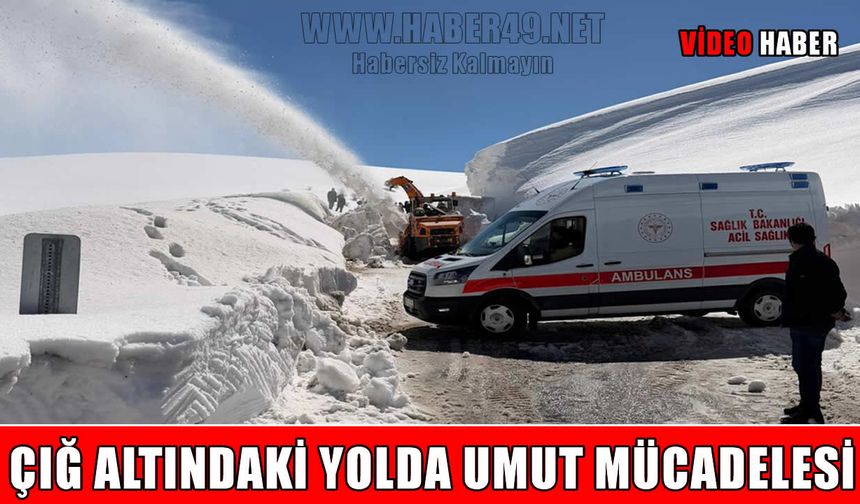 Hasköy-Mutki yoluna çığ düştü: Ekipler zamanla yarıştı