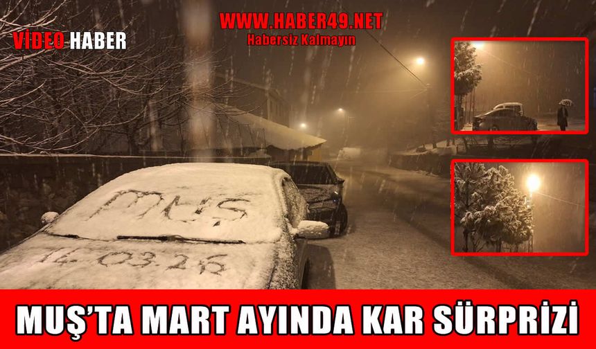 Muş’ta mart sürprizi: Kent merkezi beyaza büründü