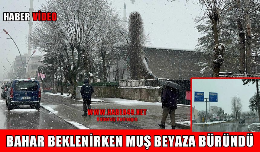 Muş’ta mart sürprizi: Kış geri döndü