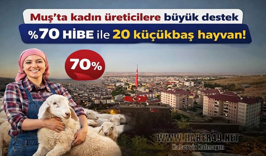 Muş’ta kadın üreticilere büyük destek: 20 küçükbaş hayvanın %70’i hibe