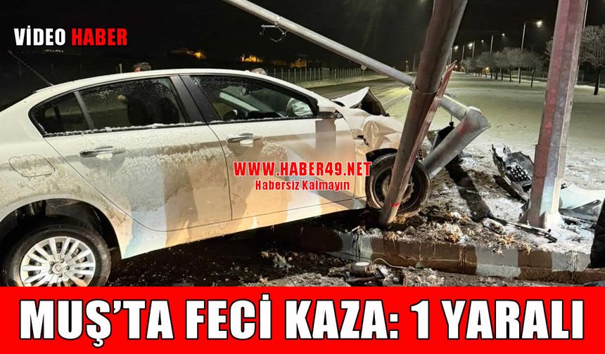 Muş’ta korkutan kaza: Otomobil refüje çıktı