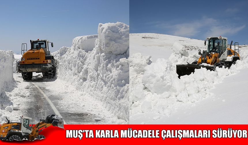 Muş’ta karla mücadele sürüyor: 33 köy yolu ulaşıma açıldı