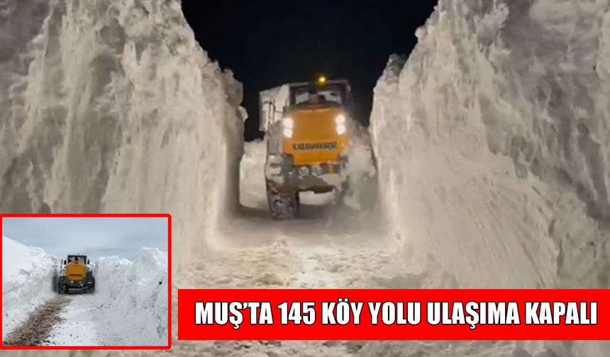 Muş’ta kar yağışı şiddetini artırdı: 145 köy yolu ulaşıma kapalı