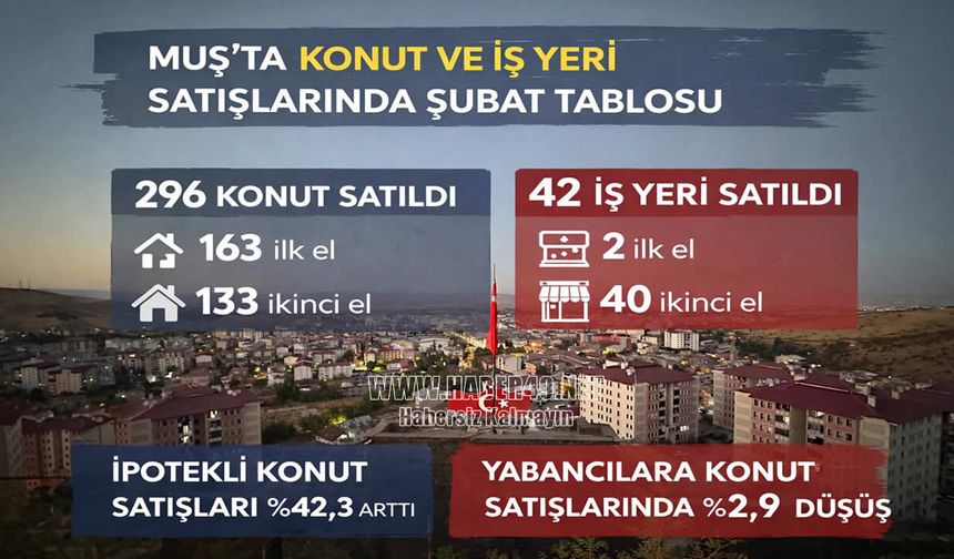 Muş’ta konut ve iş yeri satışlarında şubat tablosu