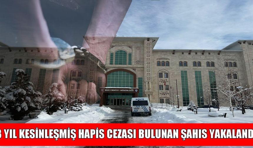 Muş’ta 3 yıl hapis cezası bulunan hükümlü yakalandı