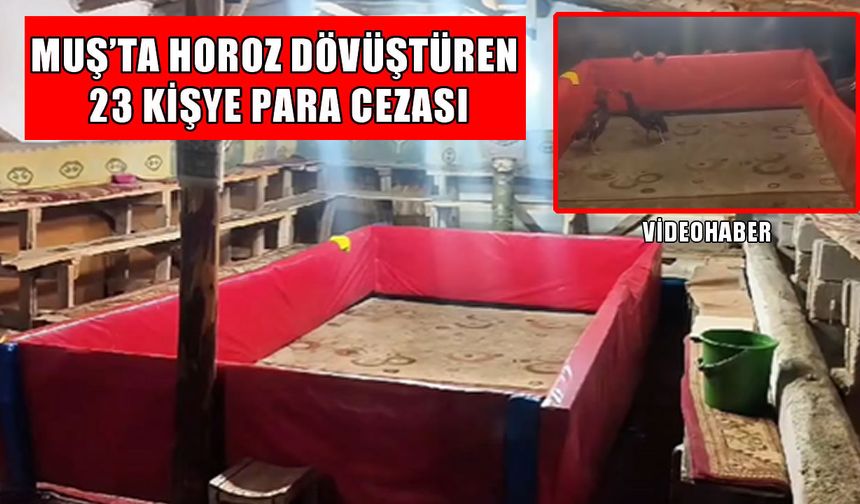 Muş’ta horoz dövüşü operasyonu: 23 kişiye para cezası