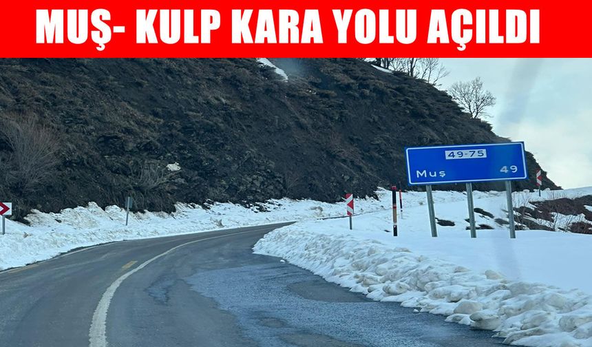 Muş-Kulp yolu 3 gün sonra trafiğe açıldı