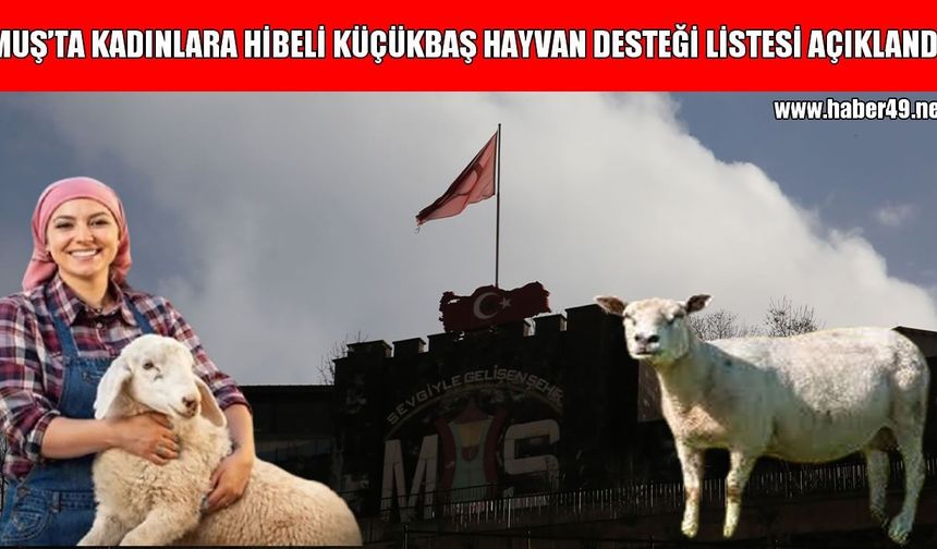 Muş’ta kadınlara %70 hibeli küçükbaş hayvan desteği: Asil ve yedek isim listesi açıklandı