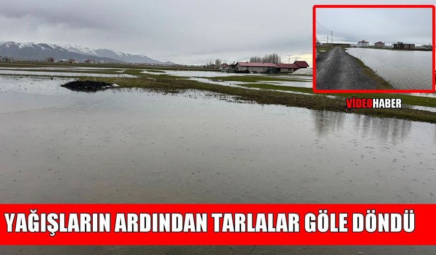 Muş Ovası’ndaki araziler suyla kaplandı