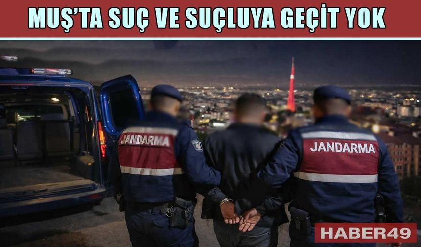 Muş'ta jandarma aranan şahıslara göz açtırmıyor