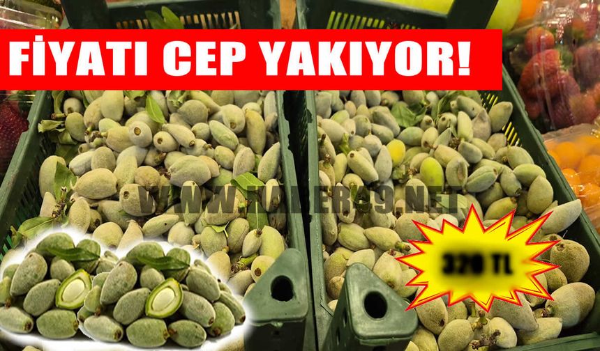 Muş’ta baharın ilk meyvesi çağla cep yakıyor: Kilosu 320 TL