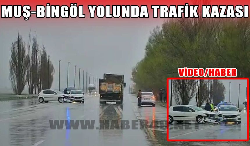 Muş-Bingöl karayolunda kaza