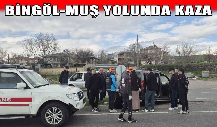Bingöl-Muş karayolunda trafik kazası: 7 yaralı