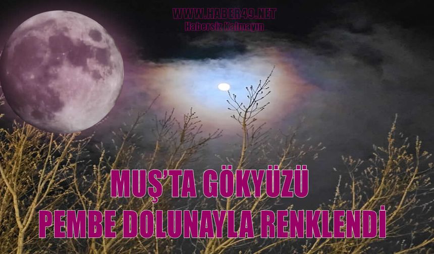 Muş’ta görsel şölen: ‘Pembe Dolunay’ gökyüzünü aydınlattı