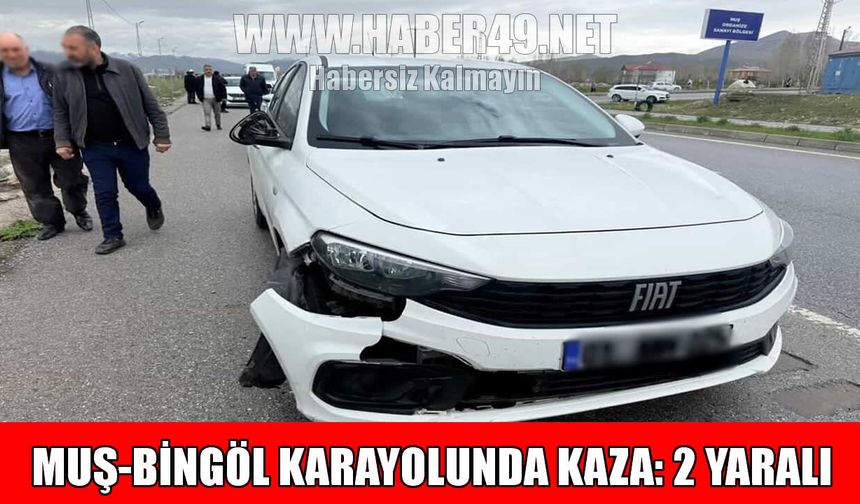 Muş-Bingöl kara yolunda kaza: Amca ve yeğeni yaralandı