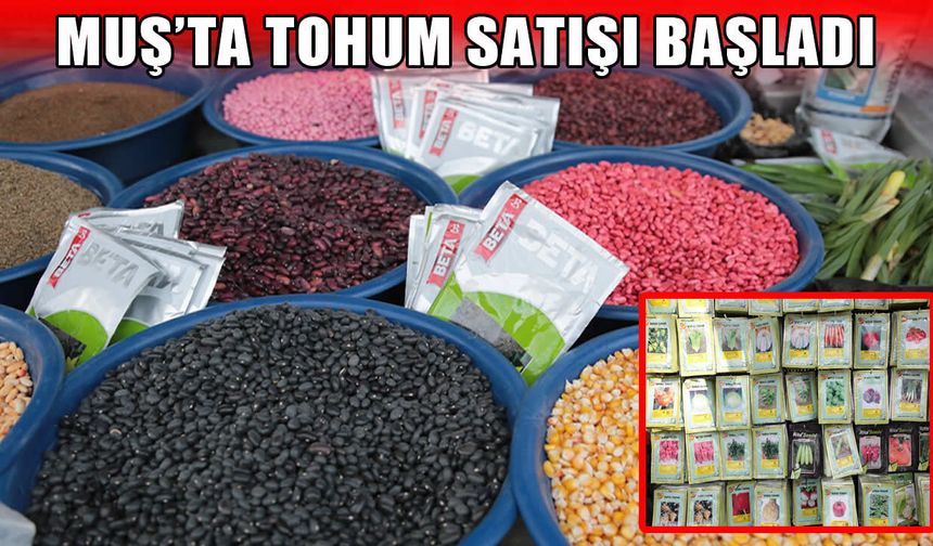 Muş’ta sebze ve meyve tohumları tezgâhlarda yerini aldı