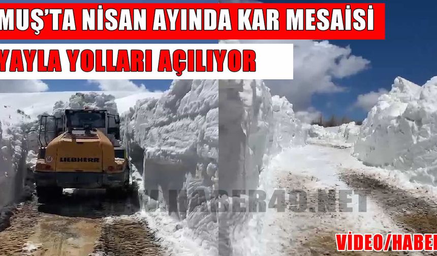 Muş’ta yayla yollarında karla mücadele sürüyor