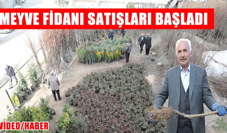 Muş’ta meyve fidanı satışları başladı: 30 çeşit ürün tezgâhlarda yerini aldı