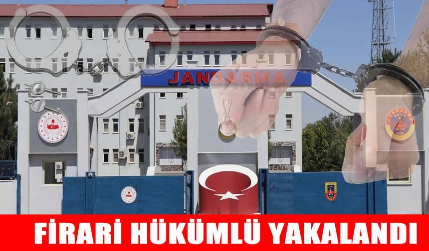 Muş’ta 4 yıl hapis cezasıyla aranan şahıs yakalandı