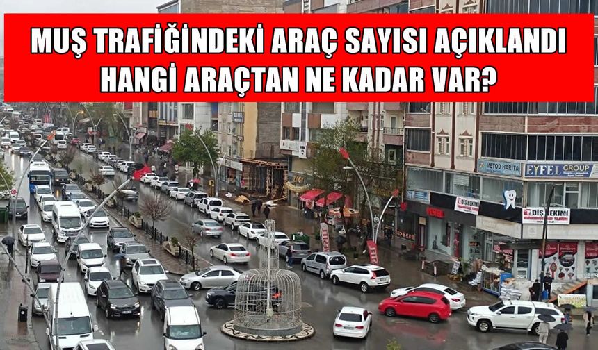 Muş'ta trafiğe kayıtlı araç sayısı arttı