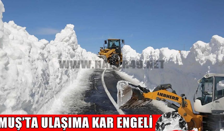 Muş’ta kış geri geldi: 22 köy yolu ulaşıma kapalı