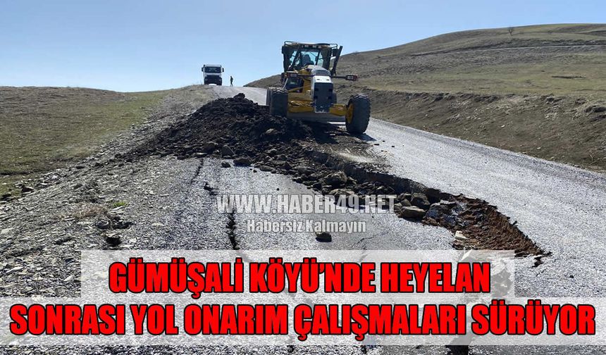 Muş İl Özel İdare ekiplerinden heyelan sonrası köy yolunda yoğun mesai