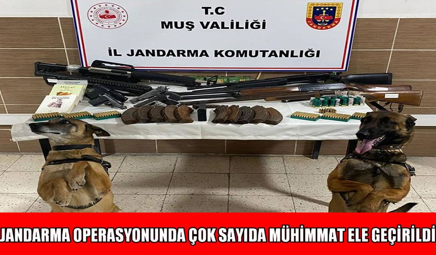 Muş’ta ruhsatsız silah operasyonu: 7 şüpheli gözaltında