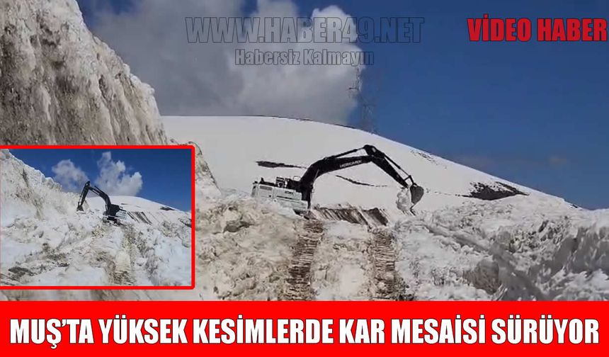 Muş’ta Nisan sonunda yol açma seferberliği