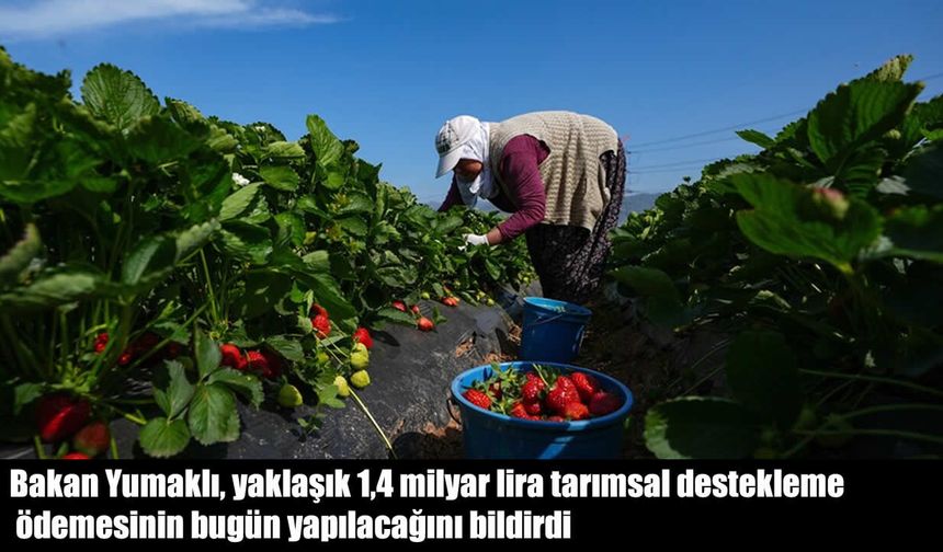 Bakan Yumaklı müjdeyi verdi: 1,3 milyar TL destek ödemesi hesaplarda