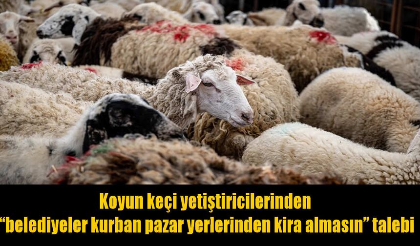 TÜDKİYEB’den belediyelere çağrı: Kurban pazarlarında ücret alınmasın