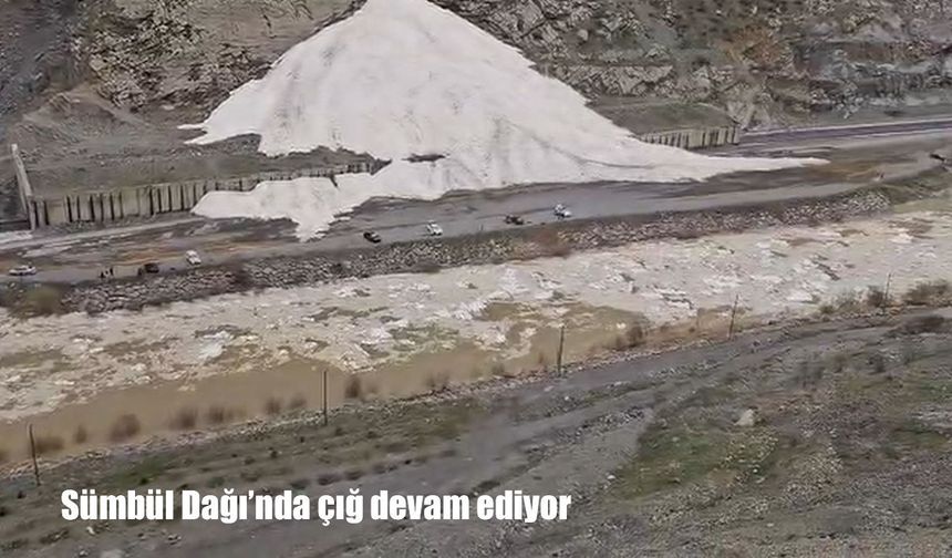 Hakkari’deki Sümbül Dağı’nda çığ devam ediyor