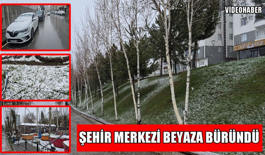 Muş’ta Nisan sürprizi: Şehir güne beyaz bir "Merhaba" dedi